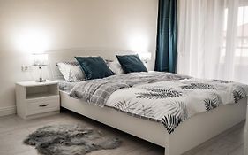 Modern Apartment In Dumbravita